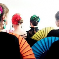 Flamenco & Kathak Tanzschule Iris Brikey