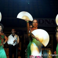 Association Flamenco Passion - Sonia Marquez