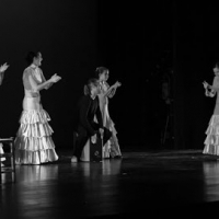 Academia de Baile Lola Ramos