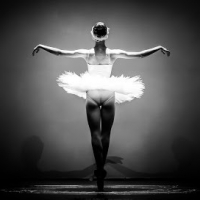 Max Ballet Academy - Dance Training Center Florence