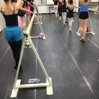 Meena School of Ballet