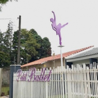 Petit Ballet - São José dos Pinhais