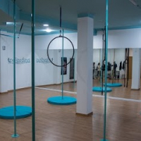 poleydays - pole dance & aerial acrobatics studio