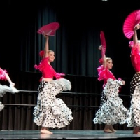 Pori Ballet and Flamenco Institute