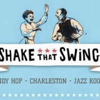 Shake That Swing