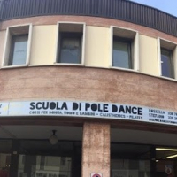 Still Pole Dance Studio
