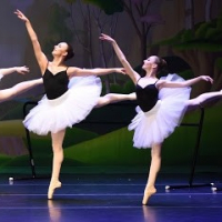 Studio Roxander - Academy of Ballet