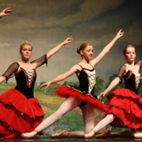 Ballettschule Inh. Konstantin Tscherkaschin