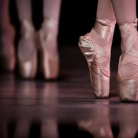 Bonnie Haney School of Dance & Performing Company